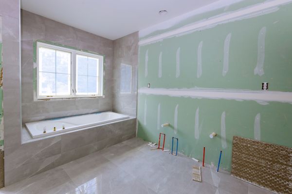 Bathroom Gutting in Greenville